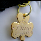 Trojlístok - modrý (BIG)