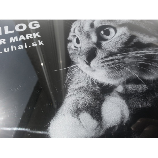 Plexi-glass GS 3mm - black (glossy/glossy)