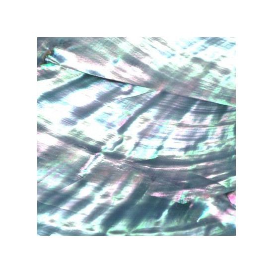 SNZ 122 - Shell Laminate - Metallic Pearl
