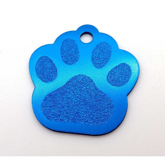 Paw - turquoise (BIG)