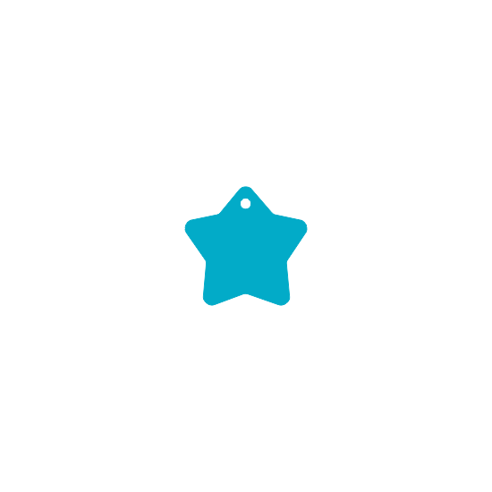 Star - turquoise (BIG)
